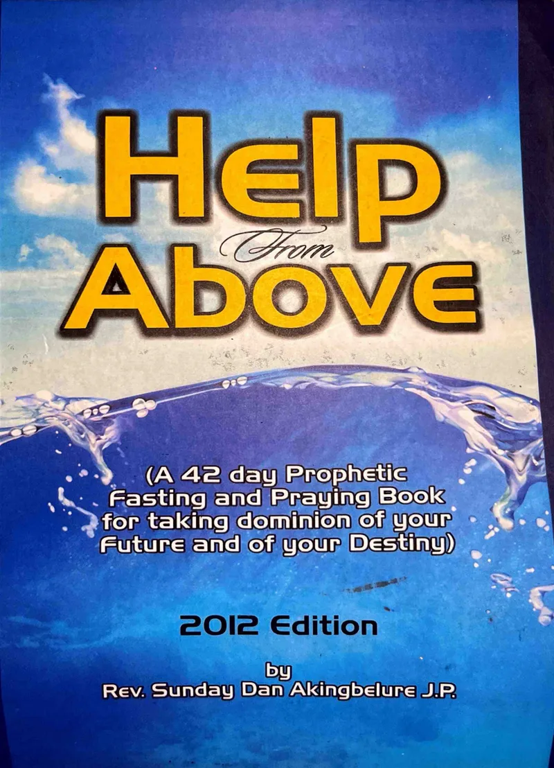 Help From Above 2012