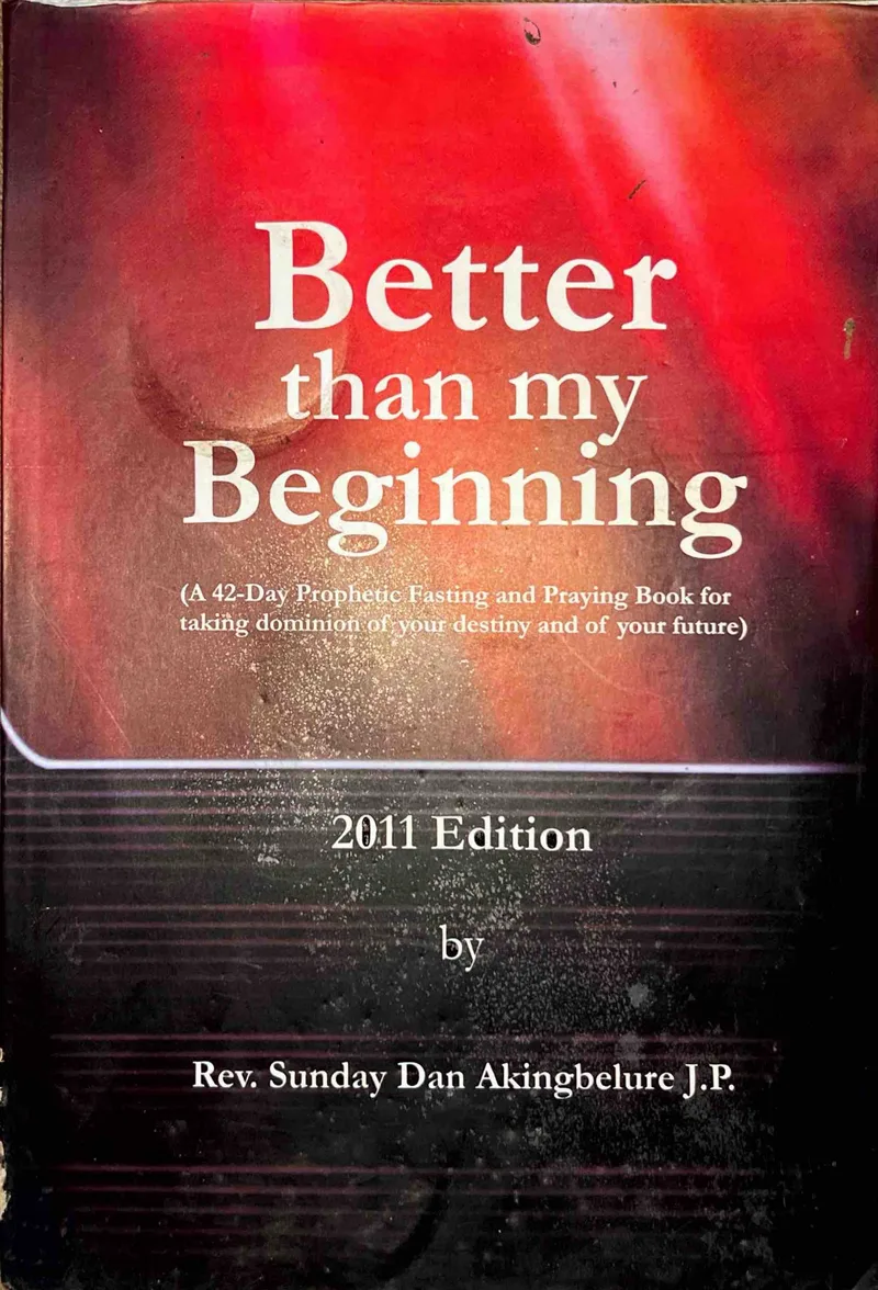 Better Than My Beginning 2011